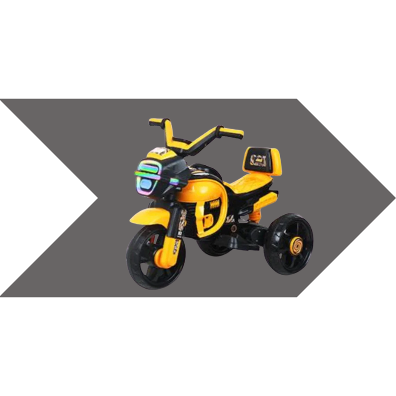ELECTRA BIKE (2)