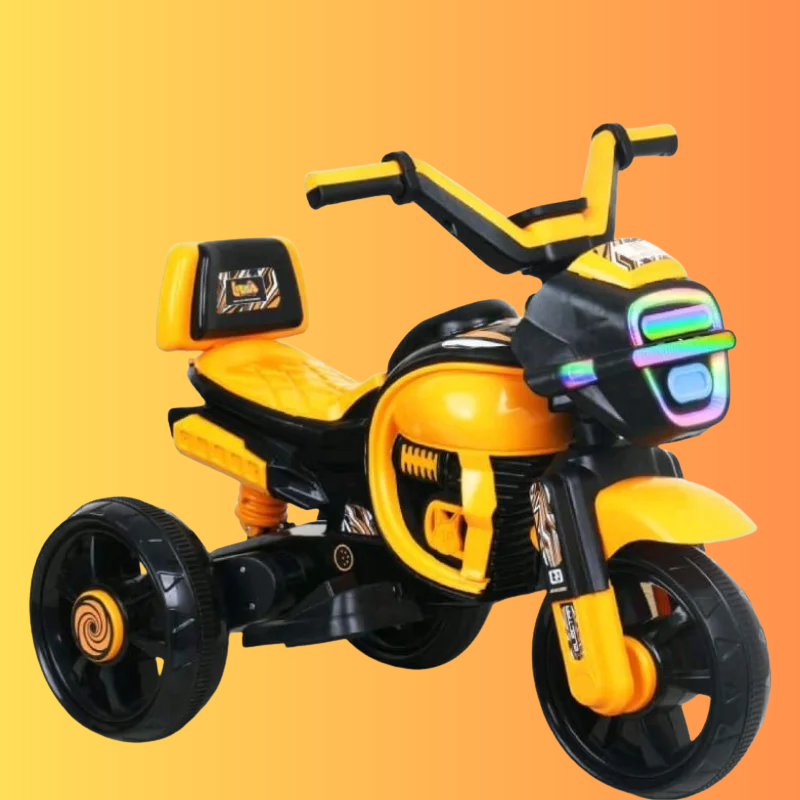 ELECTRA BIKE (3)