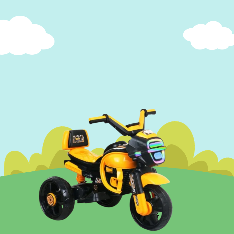 ELECTRA BIKE (4)