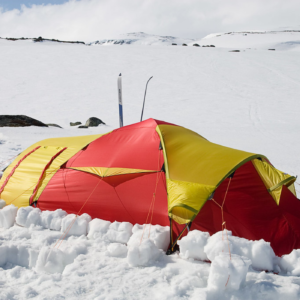 SnowShield