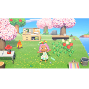 Nintendo Switch Animal Game