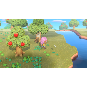 Nintendo Switch Animal Game