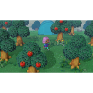 Nintendo Switch Animal Game
