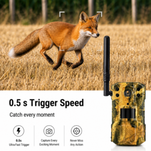 Trail Camera 4G (2K & 14 MP )
